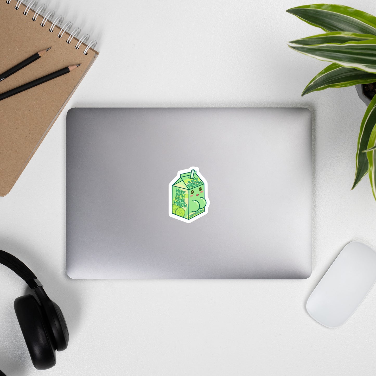 Juicy Melon Carton Sticker