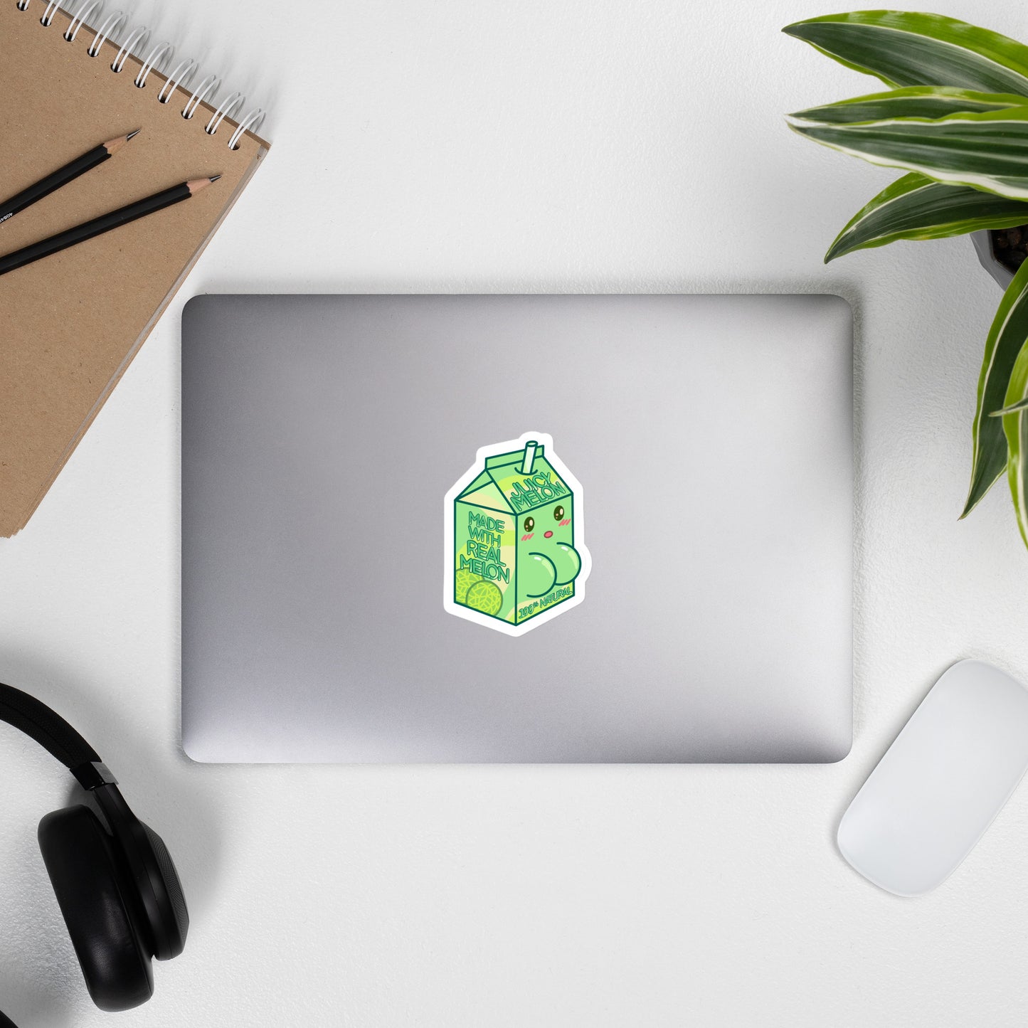 Juicy Melon Carton Sticker