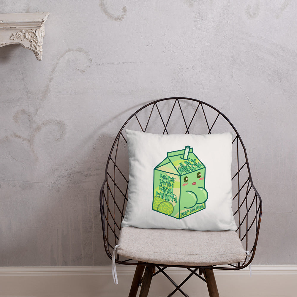 Juicy Melon Basic Pillow