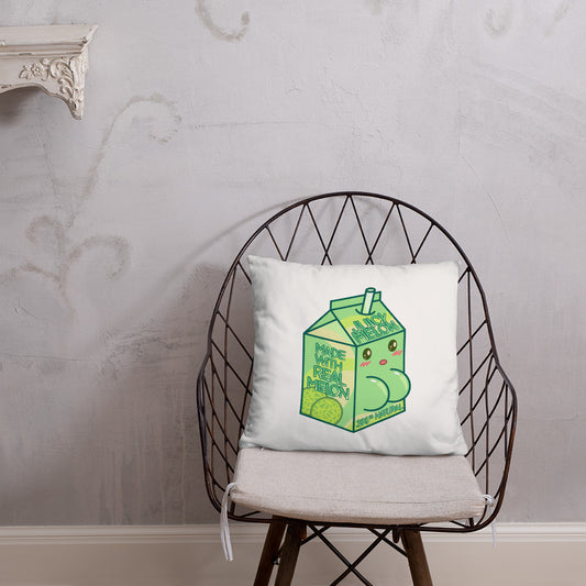 Juicy Melon Basic Pillow