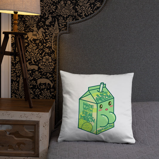 Juicy Melon Basic Pillow