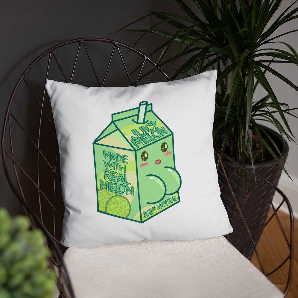 Juicy Melon Basic Pillow