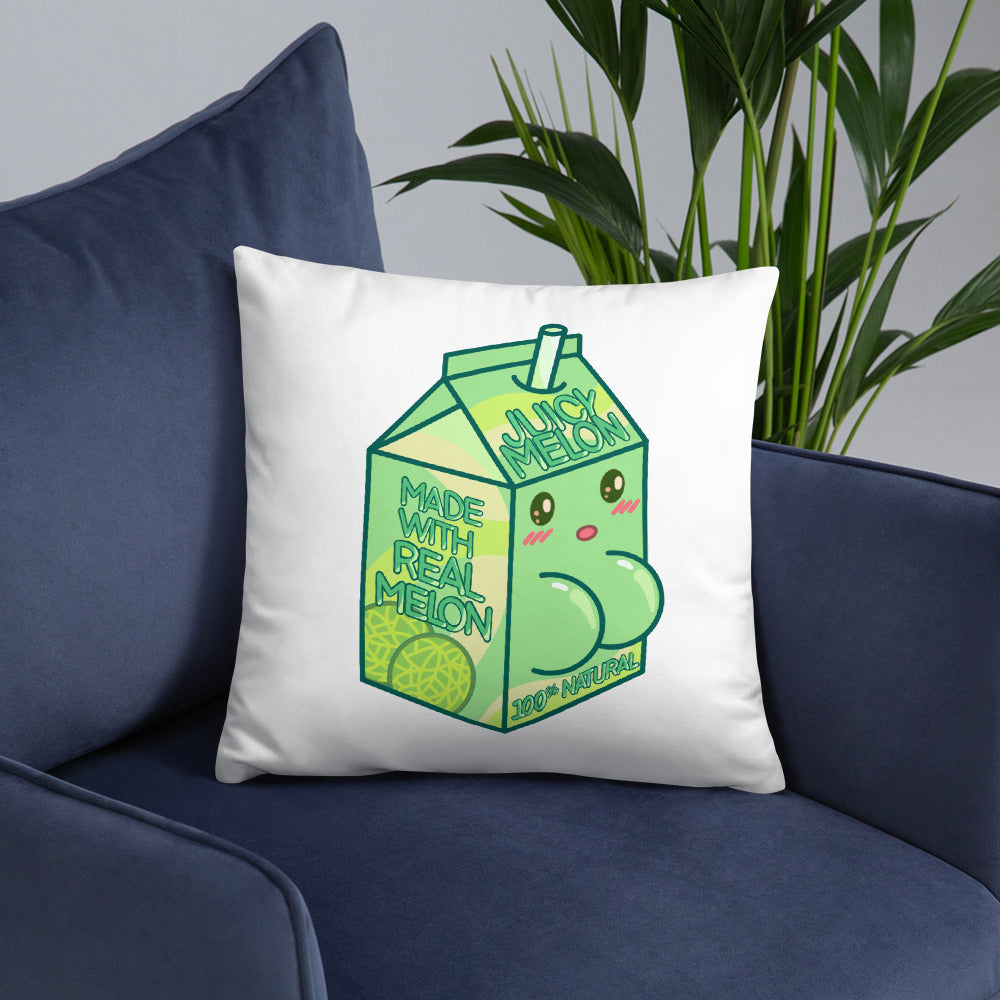 Juicy Melon Basic Pillow